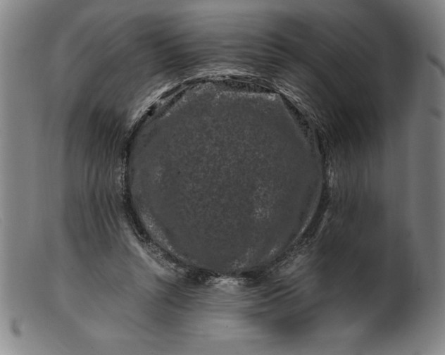 X0000099470352200805231836