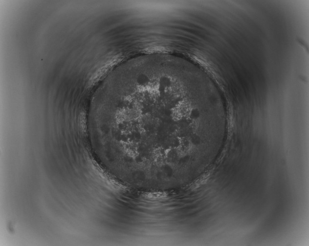 X0000099470353200805231836