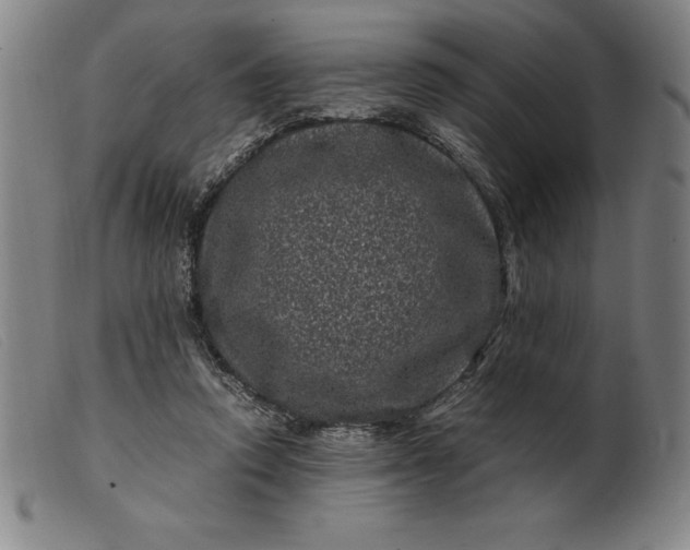 X0000099470354200805231836