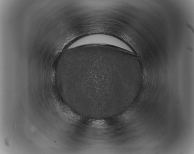 X0000099470355200805231836