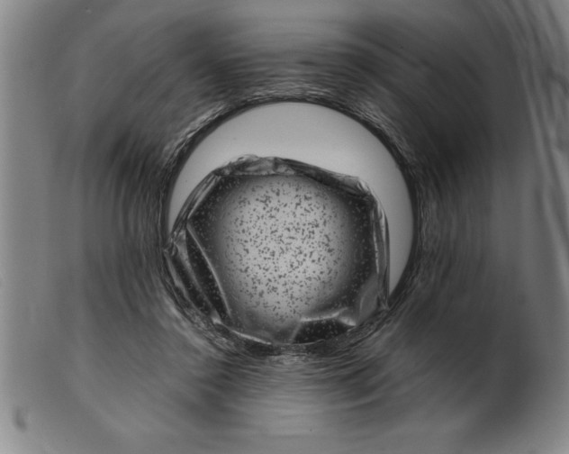 X0000099470356200805231836