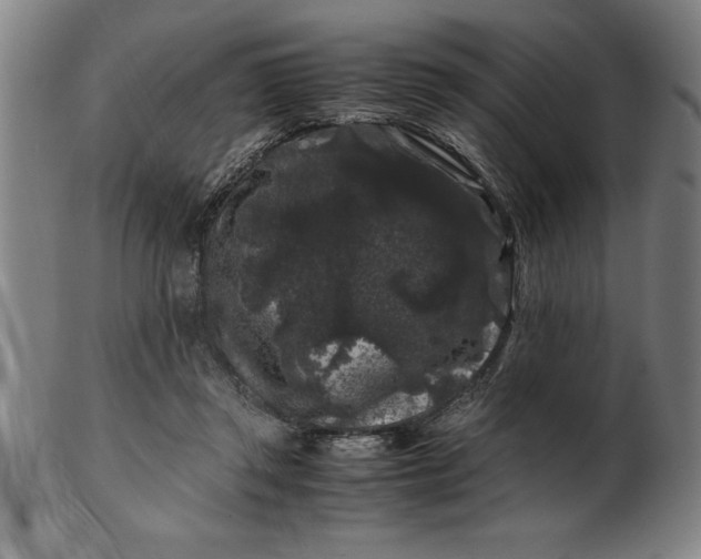 X0000099470357200805231836