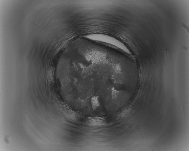 X0000099470359200805231836