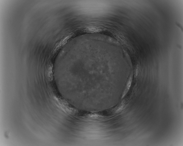 X0000099470360200805231836