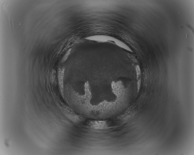 X0000099470361200805231836