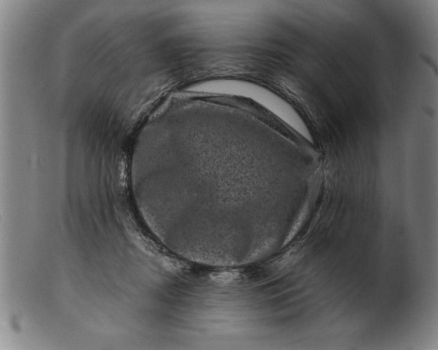 X0000099470362200805231836