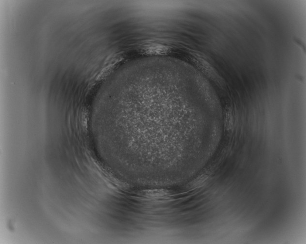 X0000099470363200805231836