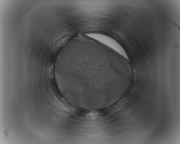 X0000099470364200805231836