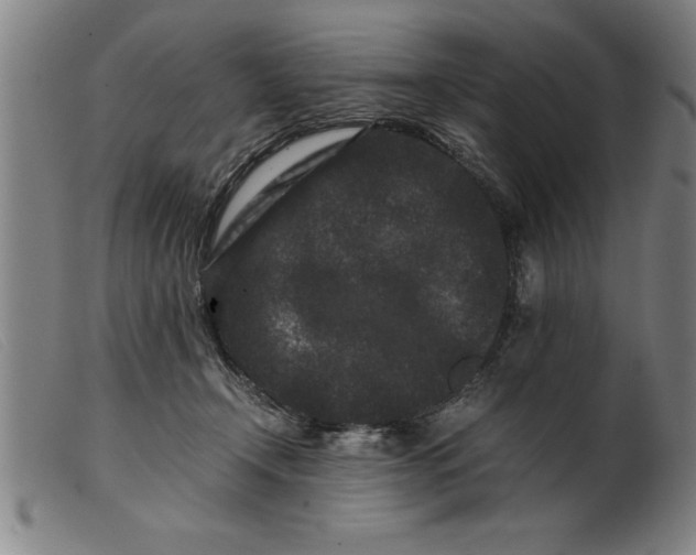 X0000099470366200805231836