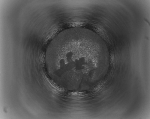 X0000099470367200805231836