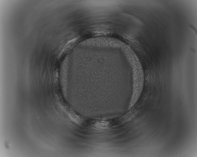 X0000099470369200805231836