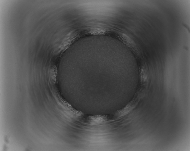 X0000099470370200805231836