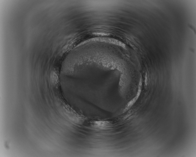 X0000099470371200805231836