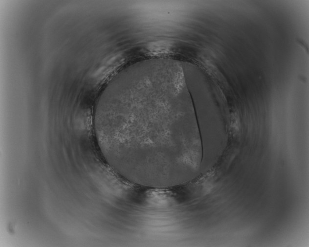 X0000099470372200805231836