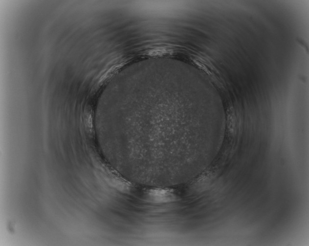 X0000099470375200805231836