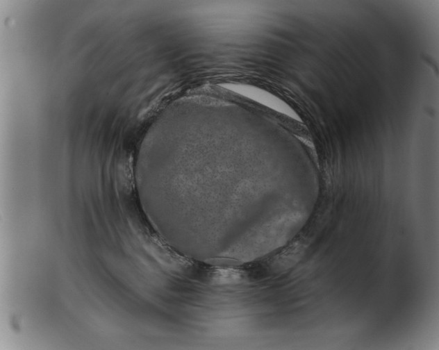 X0000099470376200805231836