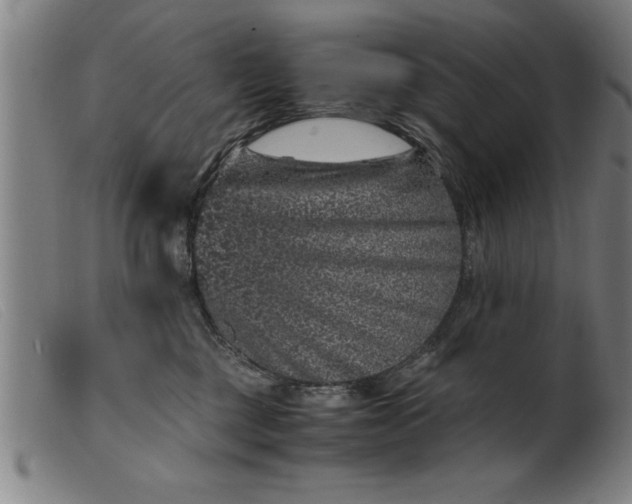 X0000099470377200805231836