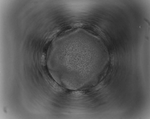 X0000099470378200805231836