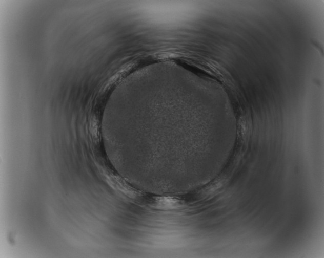 X0000099470380200805231836