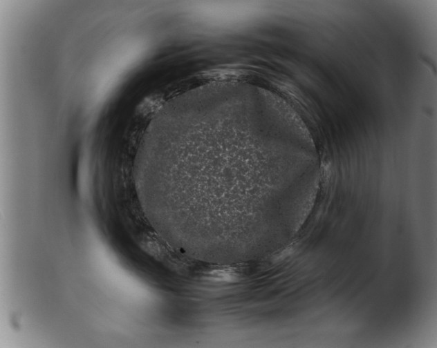 X0000099470381200805231836