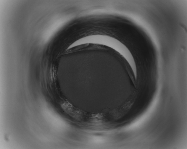 X0000099470382200805231836