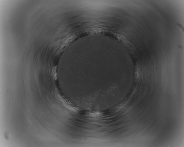 X0000099470383200805231836