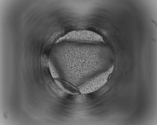 X0000099470384200805231836