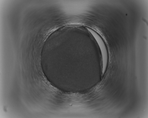 X0000099470385200805231835