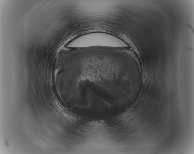 X0000099470386200805231835