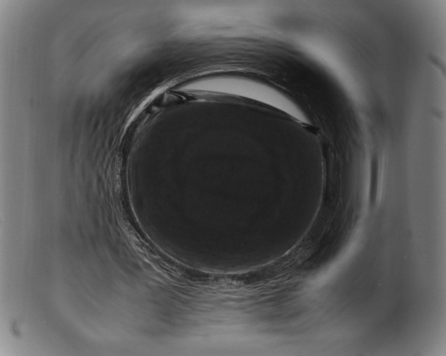 X0000099470387200805231835