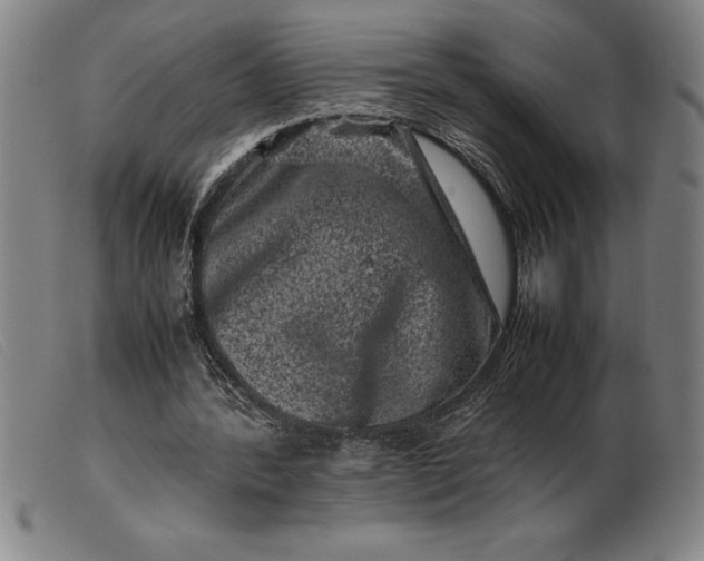 X0000099470388200805231835