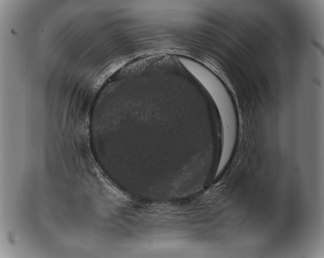 X0000099470389200805231835