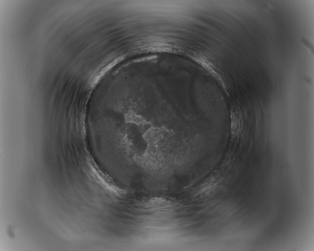 X0000099470390200805231835