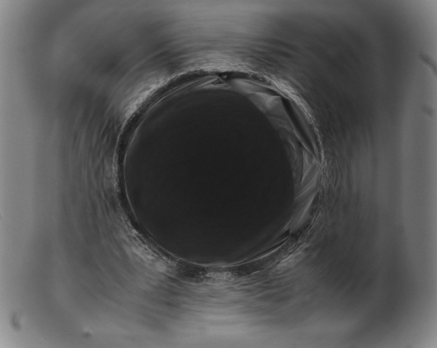 X0000099470391200805231835