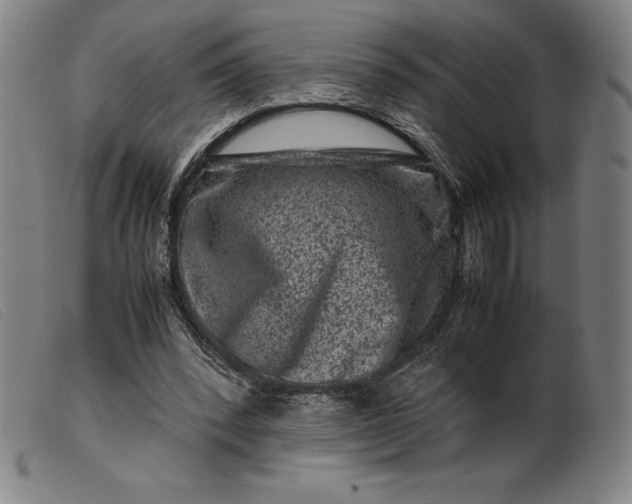 X0000099470392200805231835