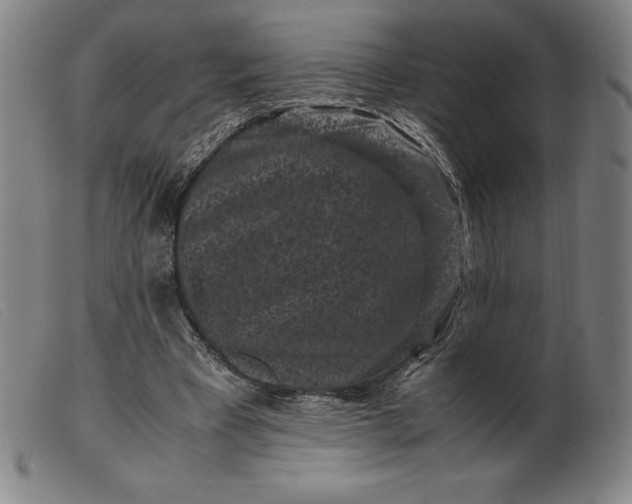 X0000099470393200805231835