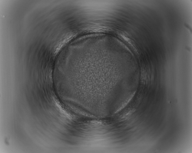 X0000099470394200805231835