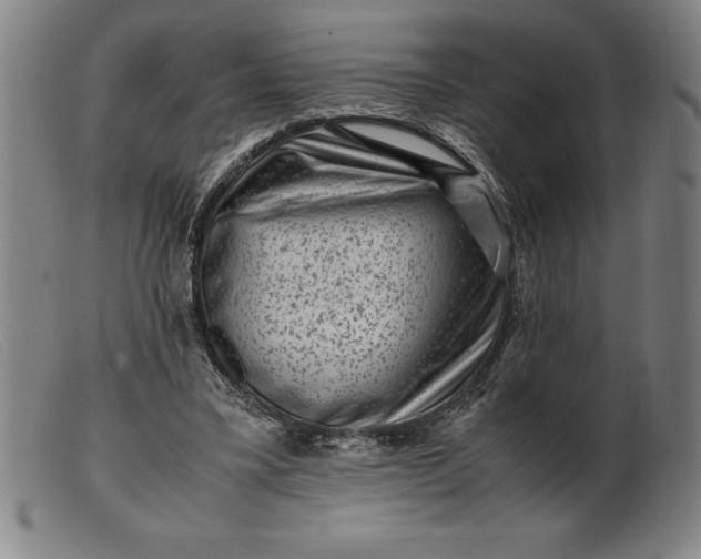 X0000099470395200805231835