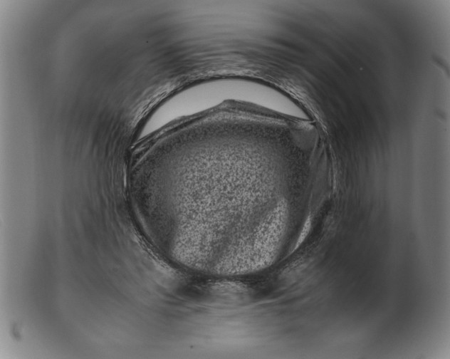 X0000099470397200805231835