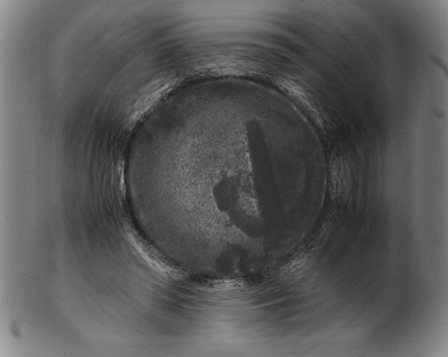 X0000099470398200805231835