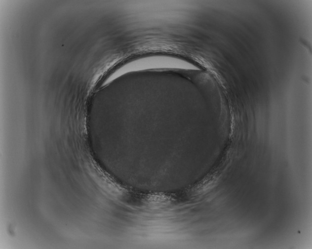 X0000099470399200805231835