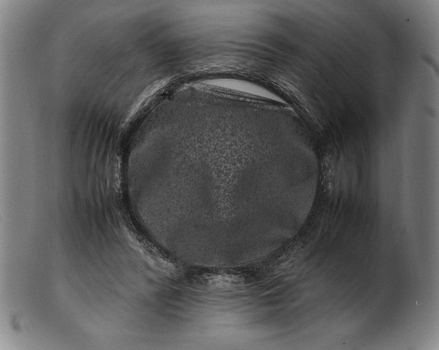 X0000099470400200805231835