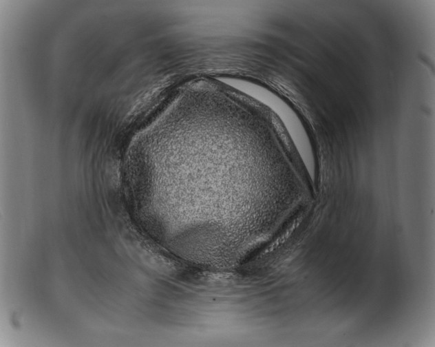 X0000099470401200805231835