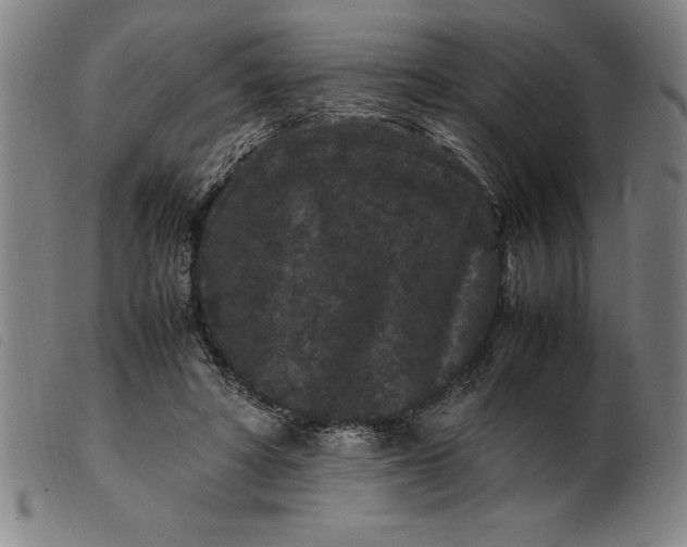 X0000099470402200805231835