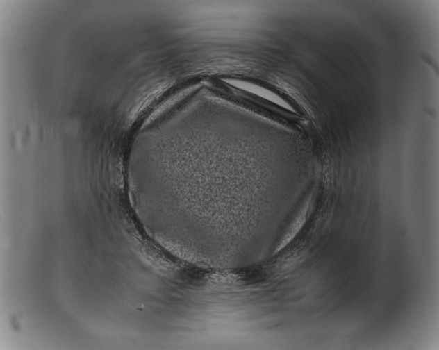 X0000099470403200805231835