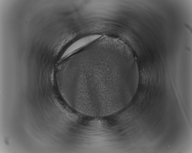 X0000099470404200805231835