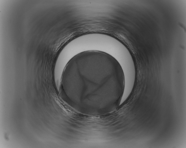 X0000099470405200805231835