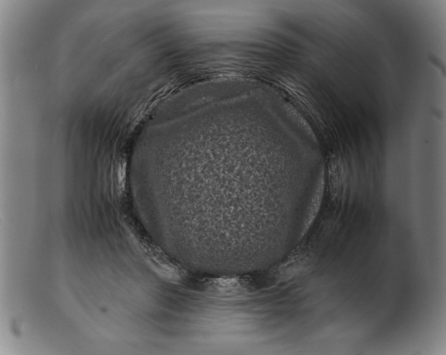 X0000099470406200805231835