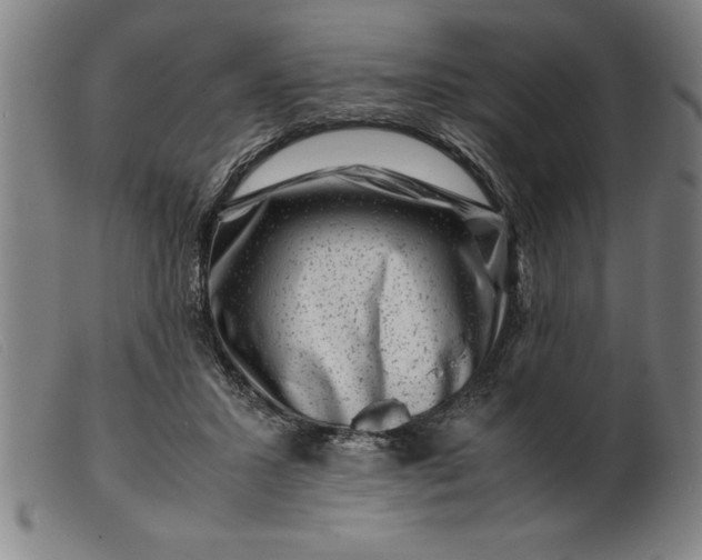 X0000099470407200805231835