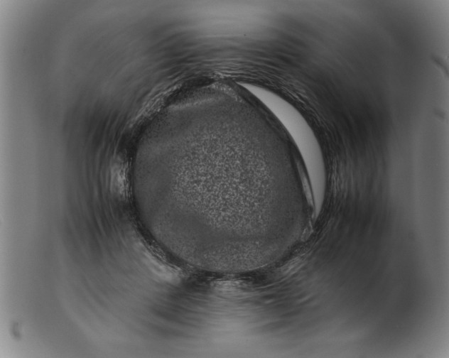 X0000099470408200805231835